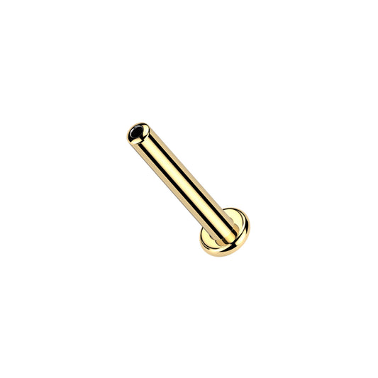 ✨ 24K Gold PVD Titanium Threadless Push In Labret Bar Flat Back