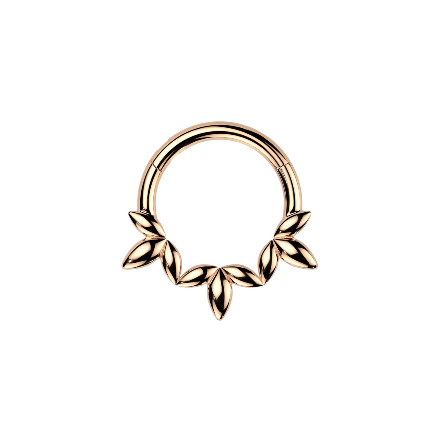 ✨ 316L Surgical Steel Leaf Vine Hinged Segment Hoop Clicker Ring 16G 8mm