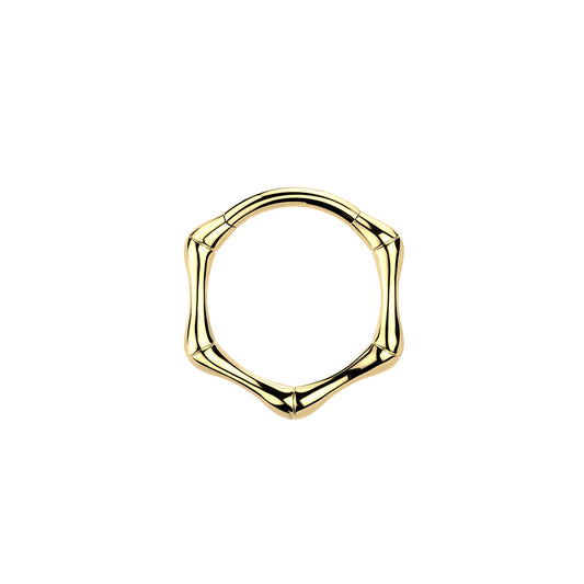 ✨ Titanium Joint Hinged Segment Hoop Ring 16G