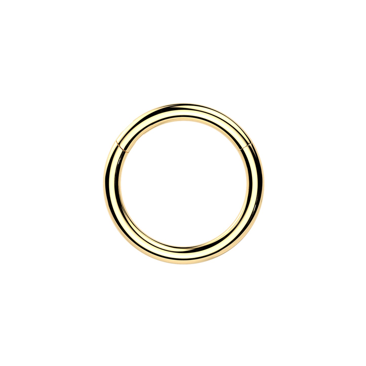 ✨ 24K Gold PVD Titanium Hinged Segment Hoop Ring