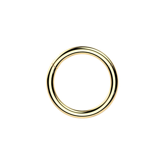 ✨ 24K Gold PVD Titanium Hinged Segment Hoop Ring