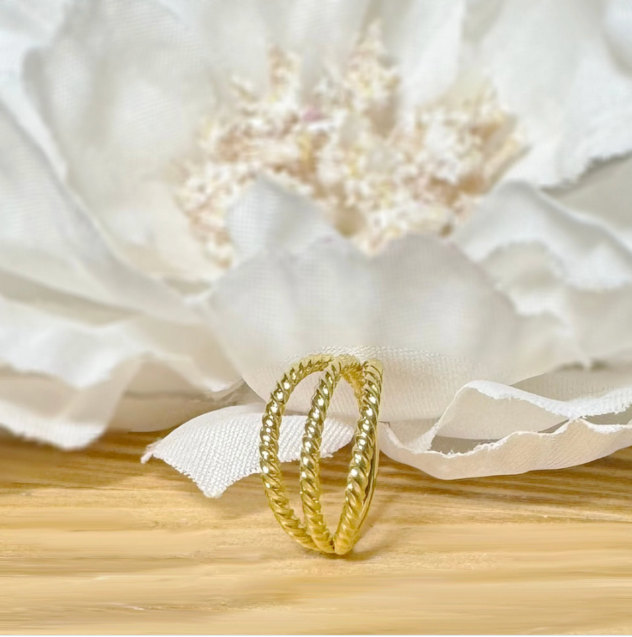 ✨ 16G Triple Braided Hinged Hoop