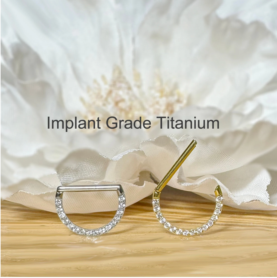 ✨ Titanium D-Shaped Hinged Segment Hoop with Front CZ 16G