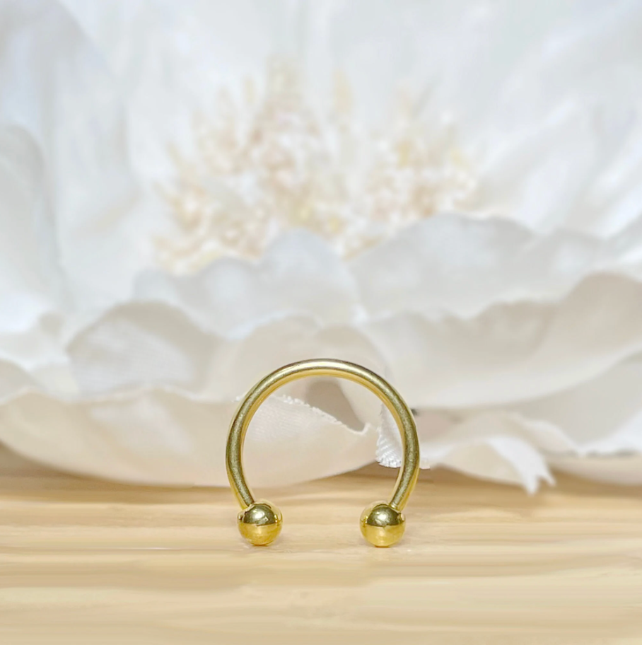 ✨ Gold Stainless Steel Horseshoe Circular Barbell