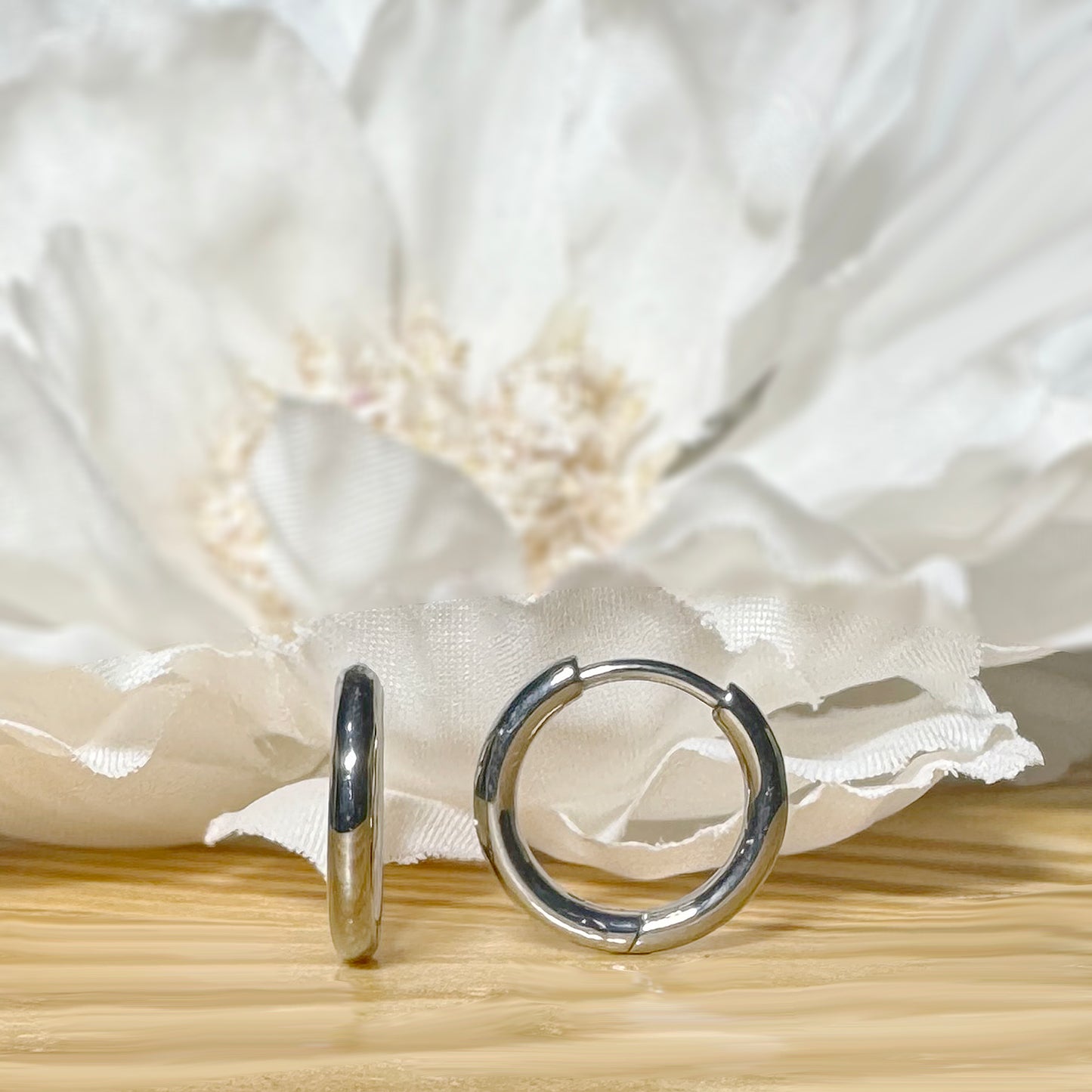 ✨ Titanium 2mm Hinged Plain Round Hoop Earrings