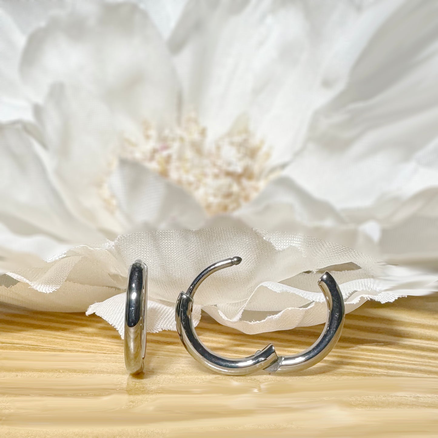 ✨ Titanium 2mm Hinged Plain Round Hoop Earrings