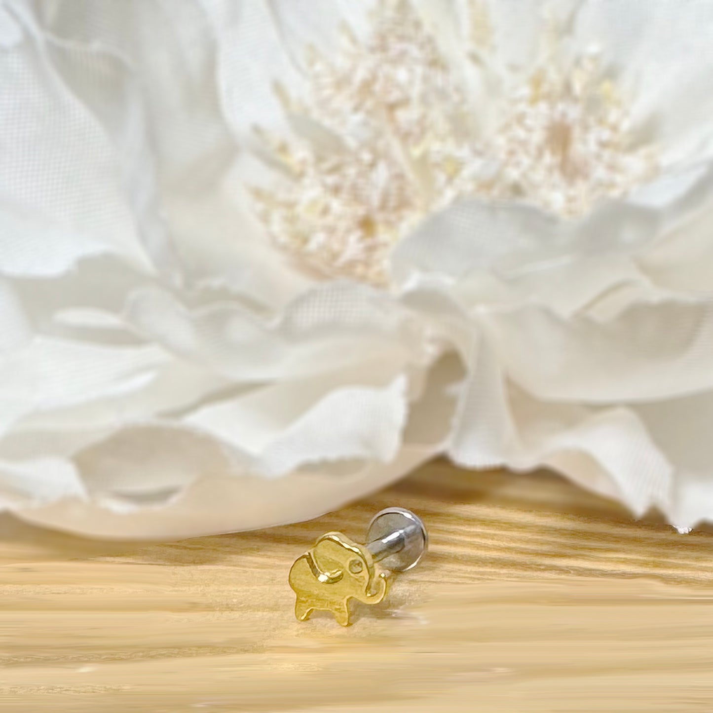 ✨ Titanium Elephant Top Threadless Labret