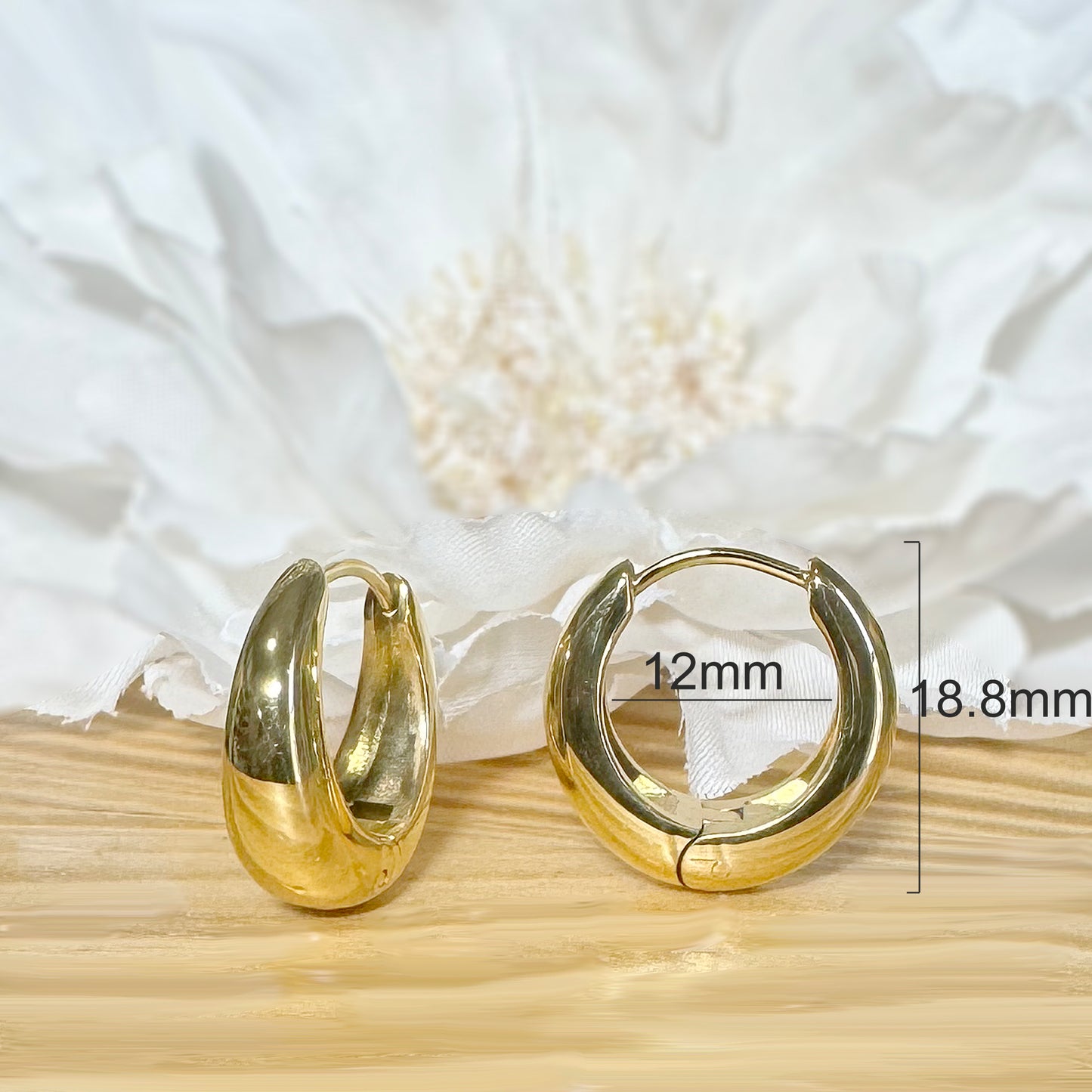 ✨ Surgical Steel Wide Hinged Hoop Earrings