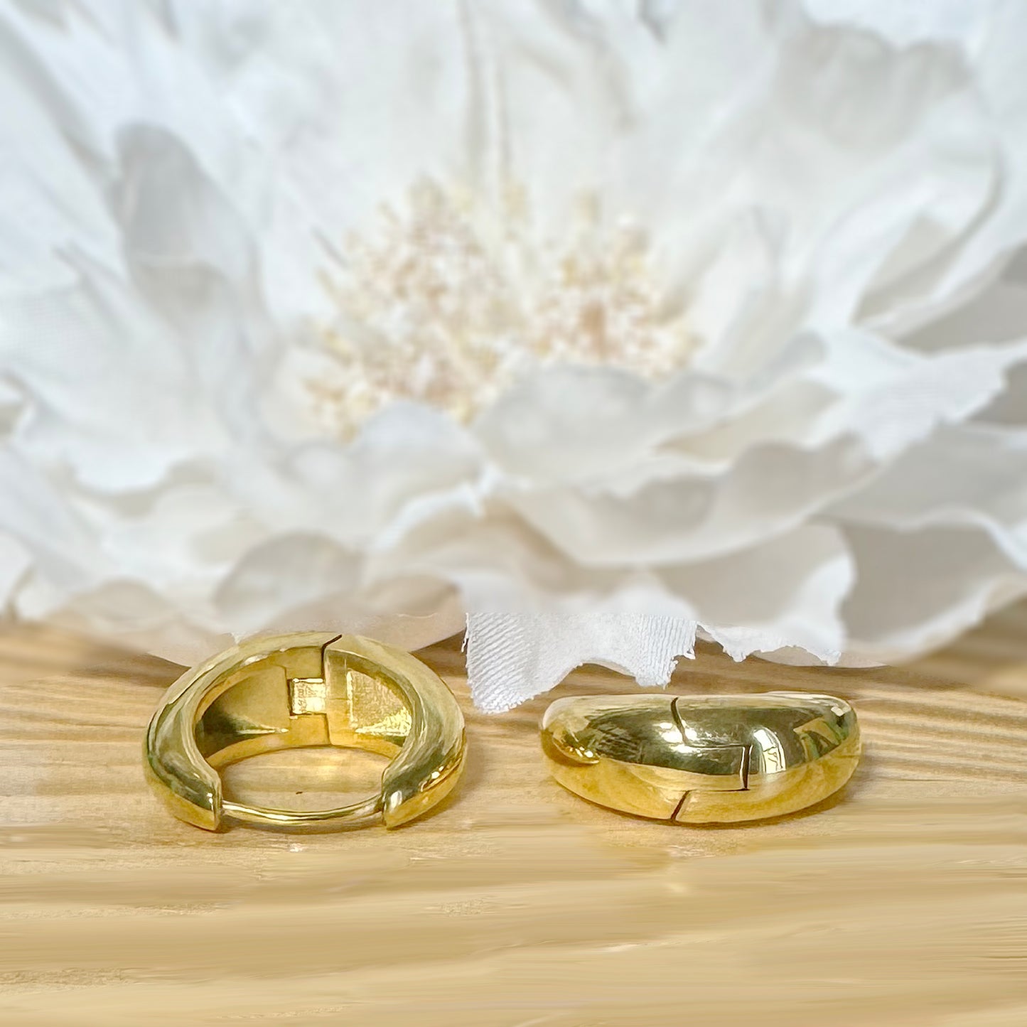 ✨ Surgical Steel Wide Hinged Hoop Earrings