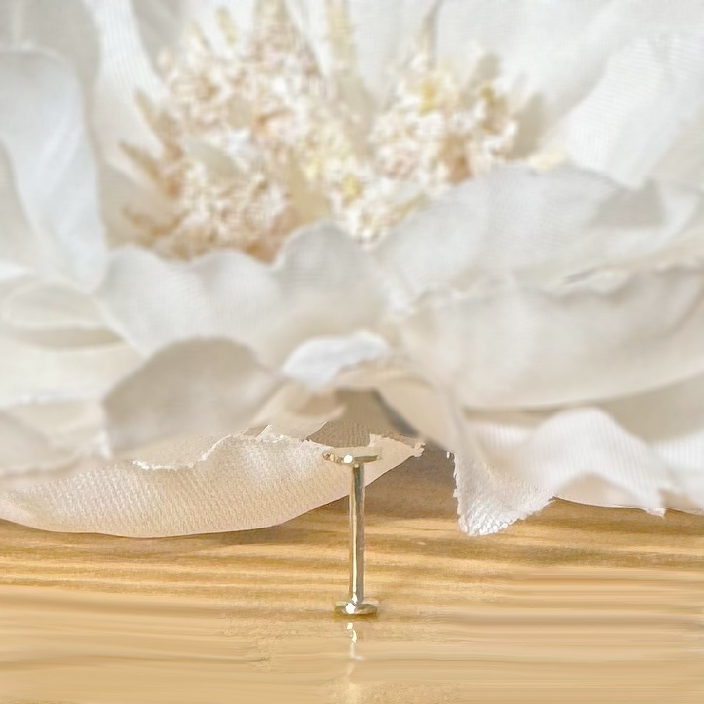 ✨ 14K Solid Yellow Gold 20G Flat Heart Top Threadless Labret Stud