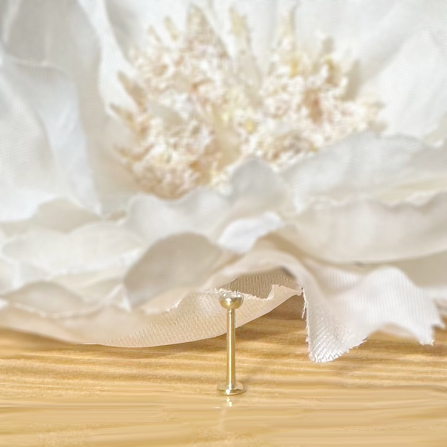 ✨ 14K Solid Yellow Gold 20G Bezel Set CZ Top Threadless Labret Stud