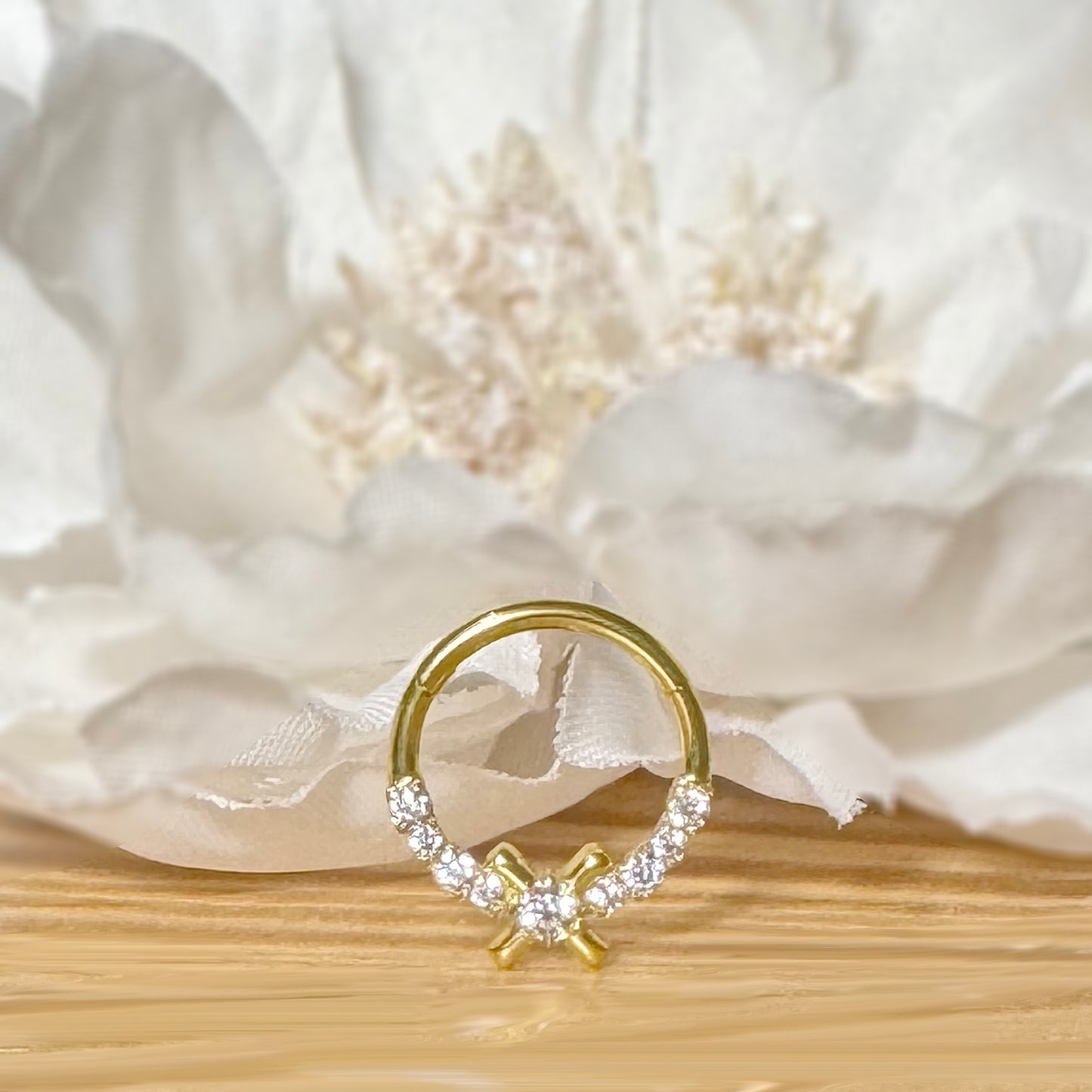 ✨ 16G 316L Surgical Steel X CZ Center Hinged Segment Hoop with Front CZ