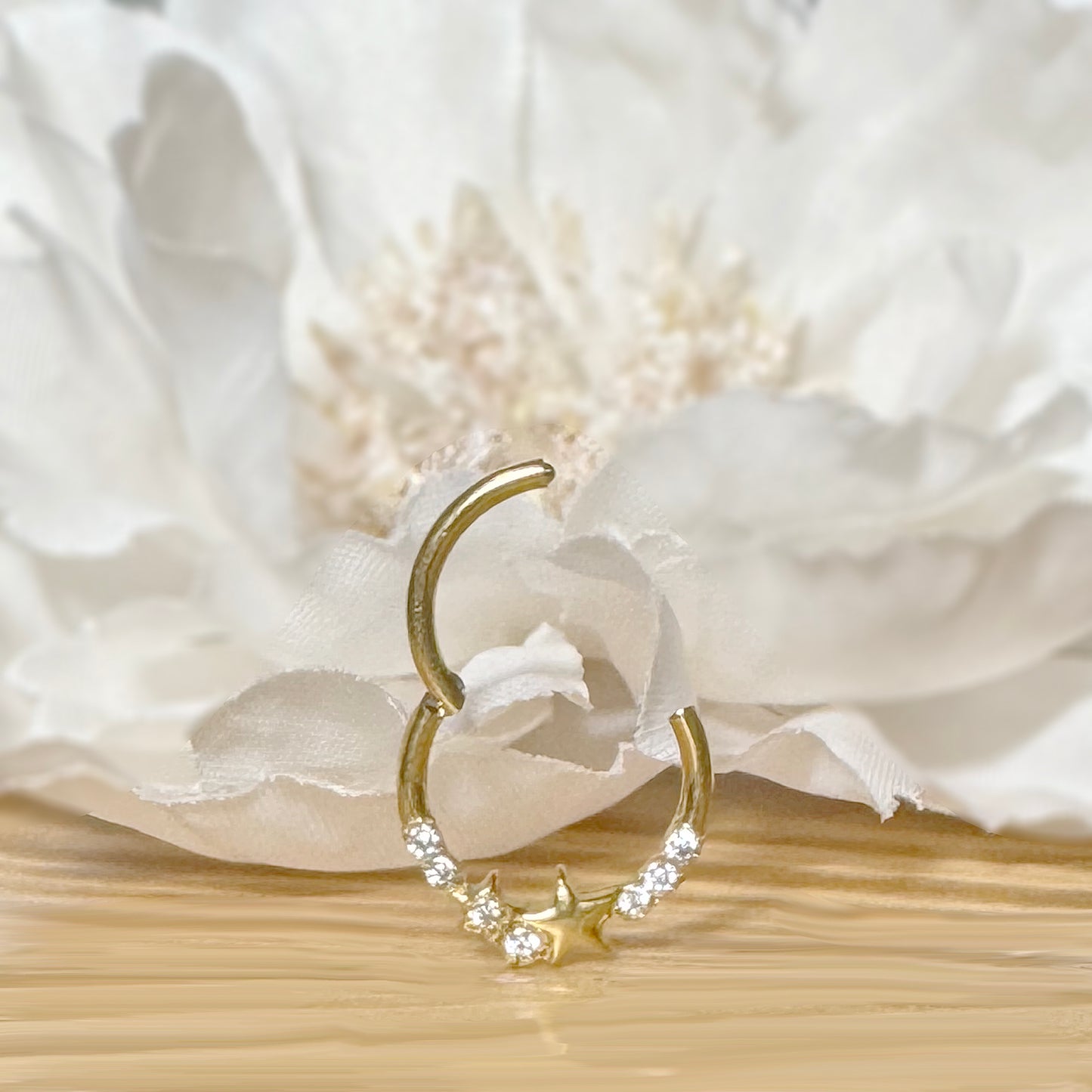 ✨ 16G 316L Surgical Steel Star and CZ Center Hinged Segment Hoop with Front CZ