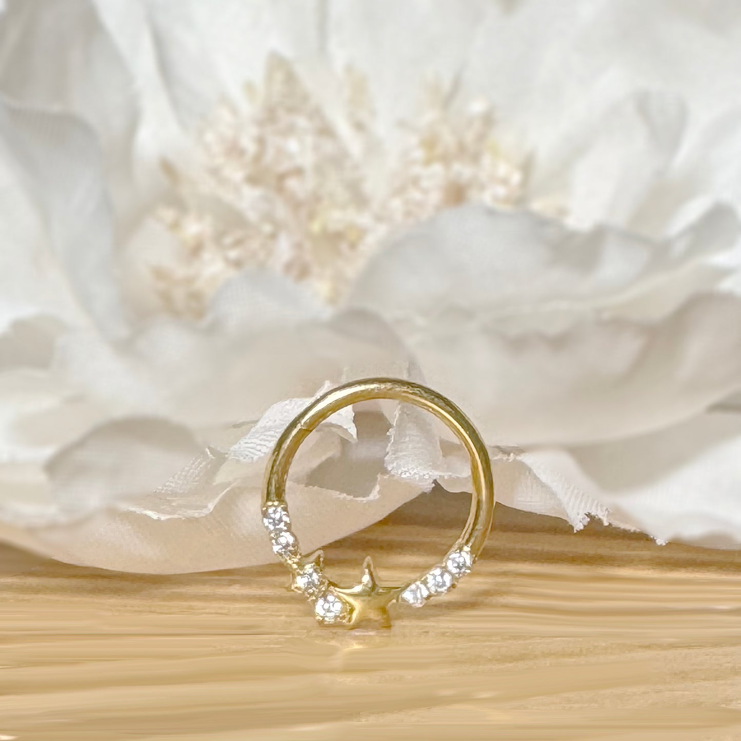 ✨ 16G 316L Surgical Steel Star and CZ Center Hinged Segment Hoop with Front CZ