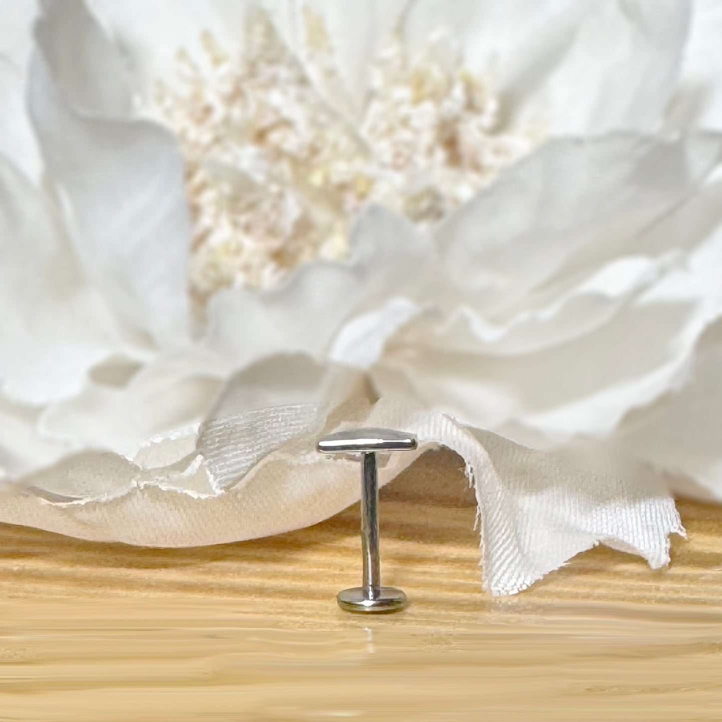 ✨ Titanium Threadless Push In Rounded Rectangle Top Labret Bar Stud