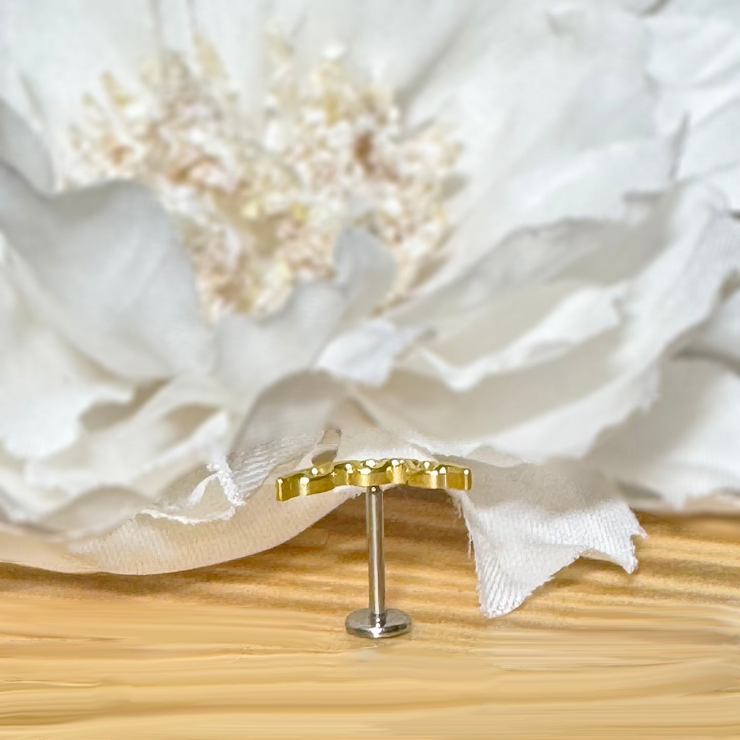 ✨ Titanium Threadless Push In Curved Chain Link Top Labret Bar Stud