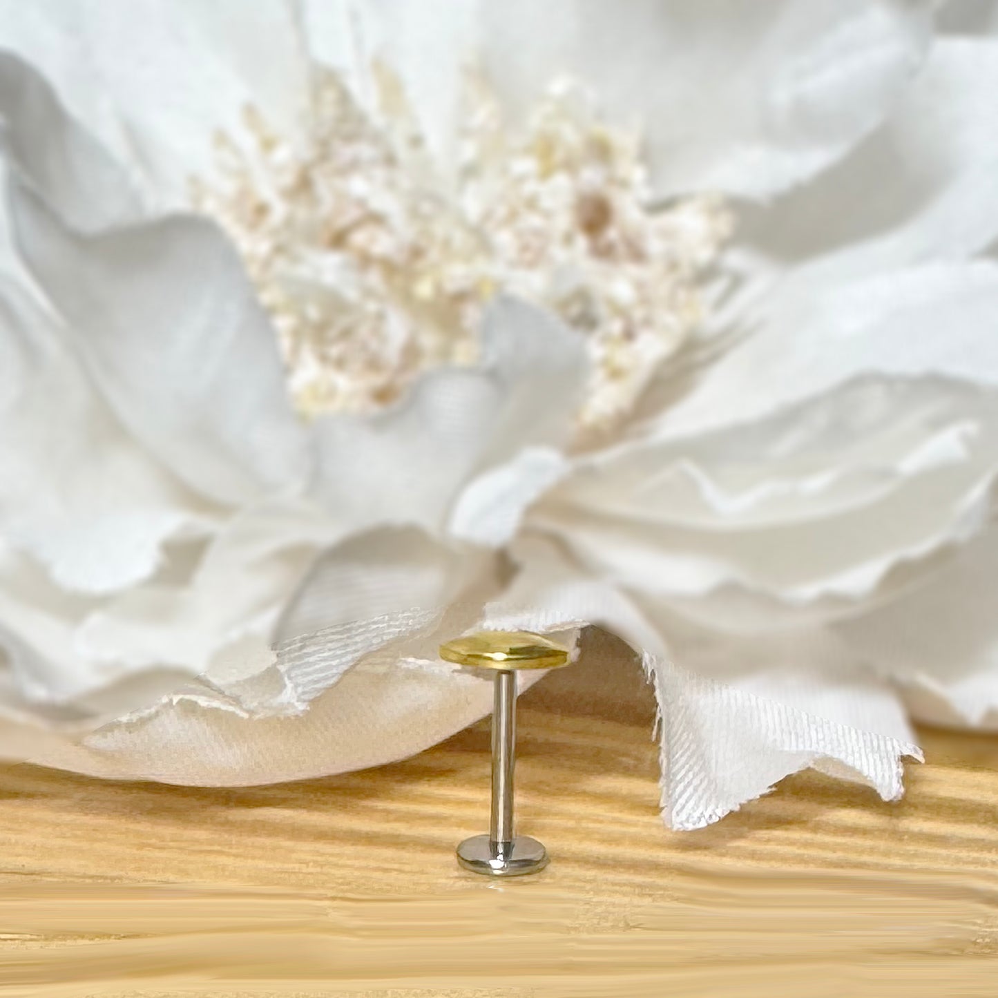 ✨ Titanium Threadless Push In Rounded Marquise Top Labret Bar Stud