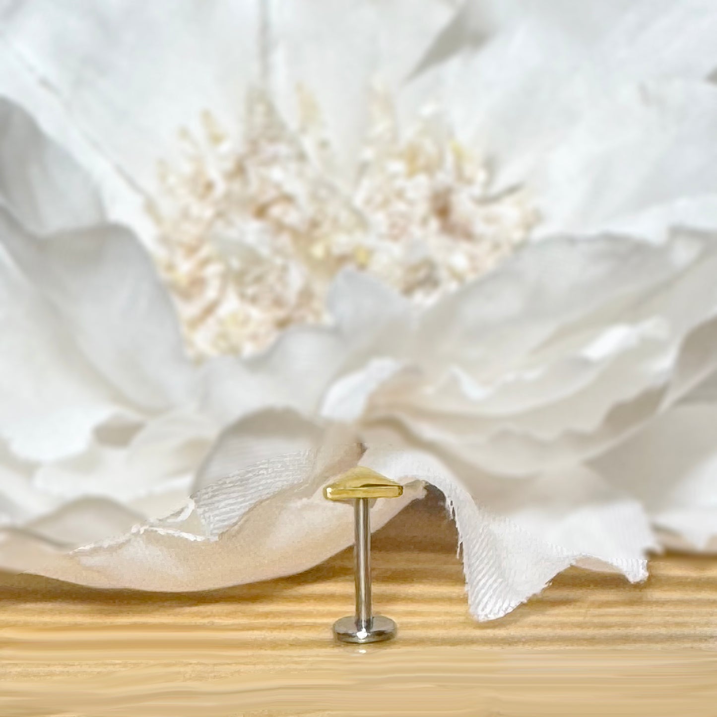 ✨ Titanium Threadless Push In Rounded Triangle Top Labret Bar Stud