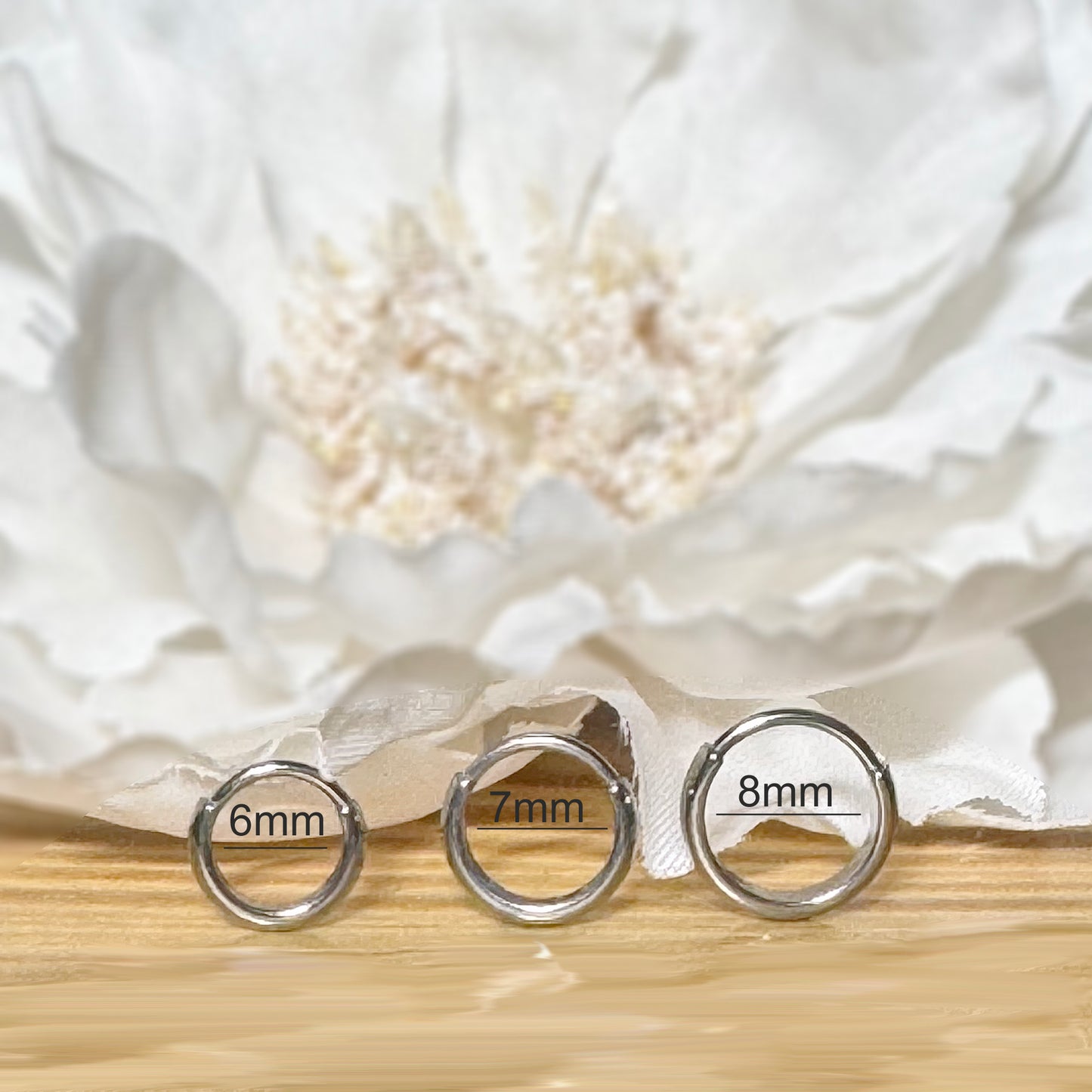 ✨ Titanium Hinged Segment Ring with 2mm Dome Surface 20G