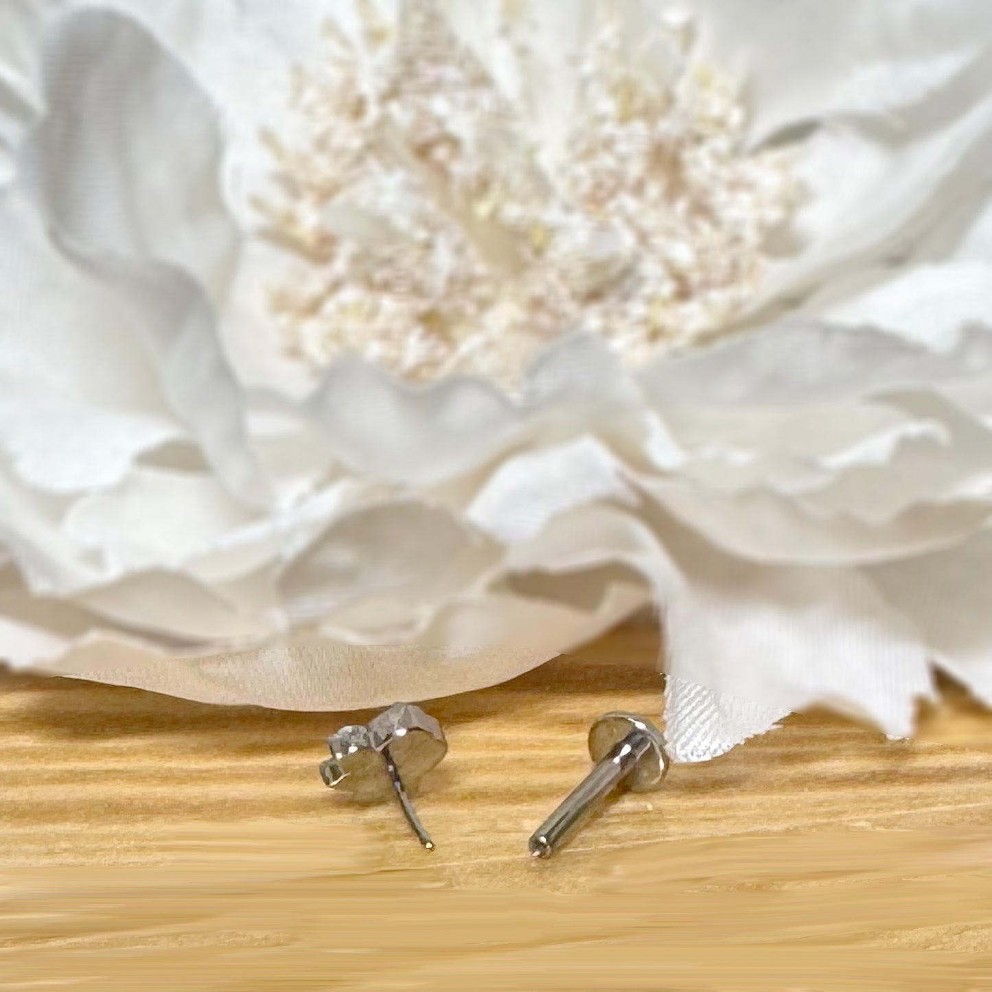 ✨ Titanium Threadless Push In CZ Paw Top Labret Bar Stud