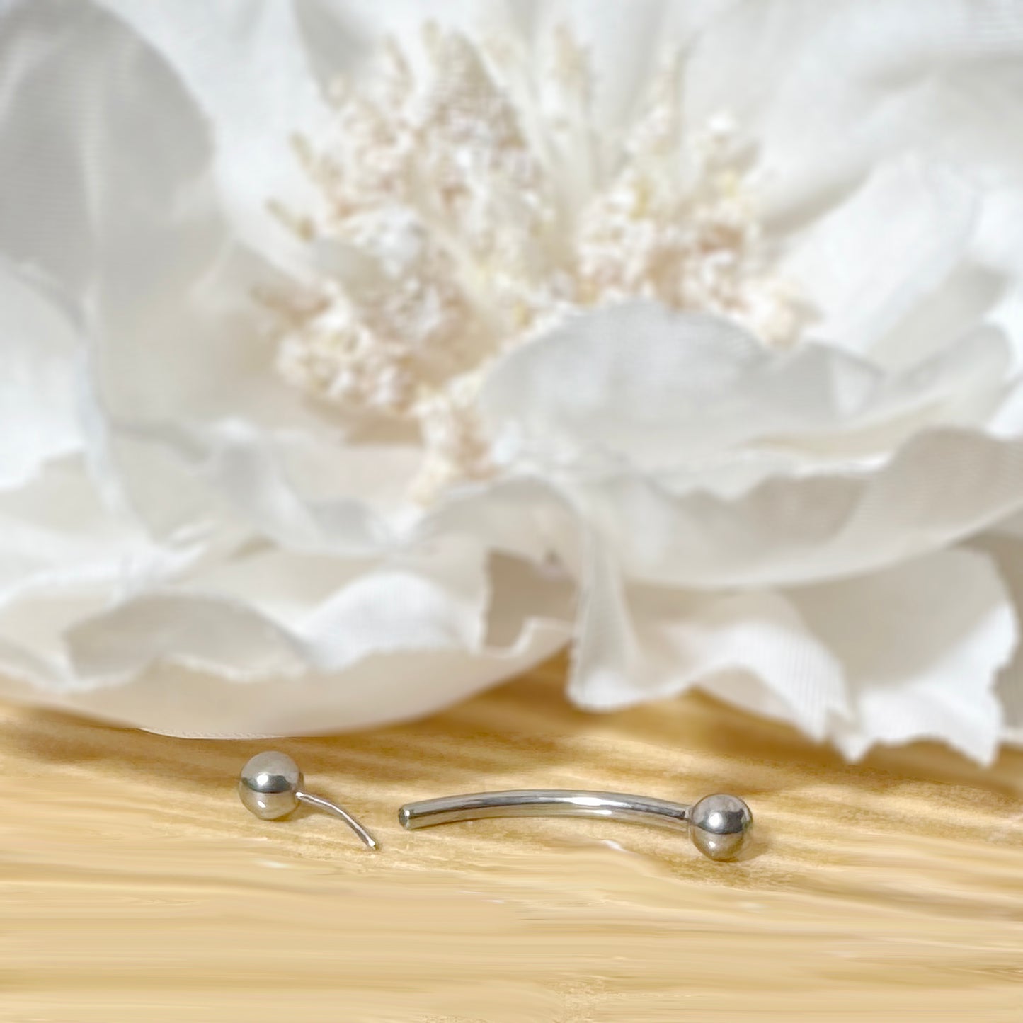 ✨ Titanium Threadless Push In Curved Barbell with One Fixed Ball 16G 14G