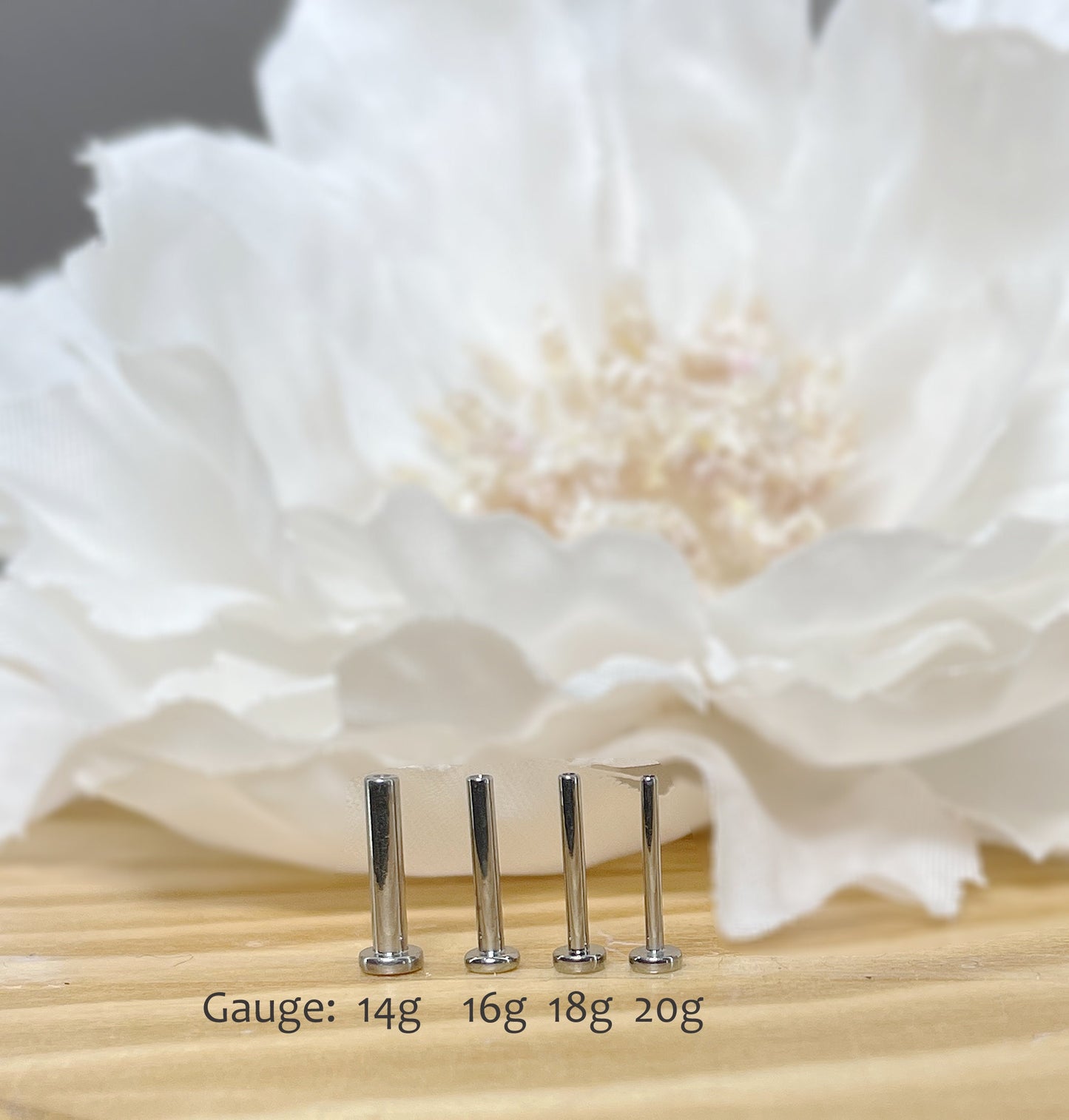 ✨ Titanium Threadless Push In Labret Bar 20G 18G 16G