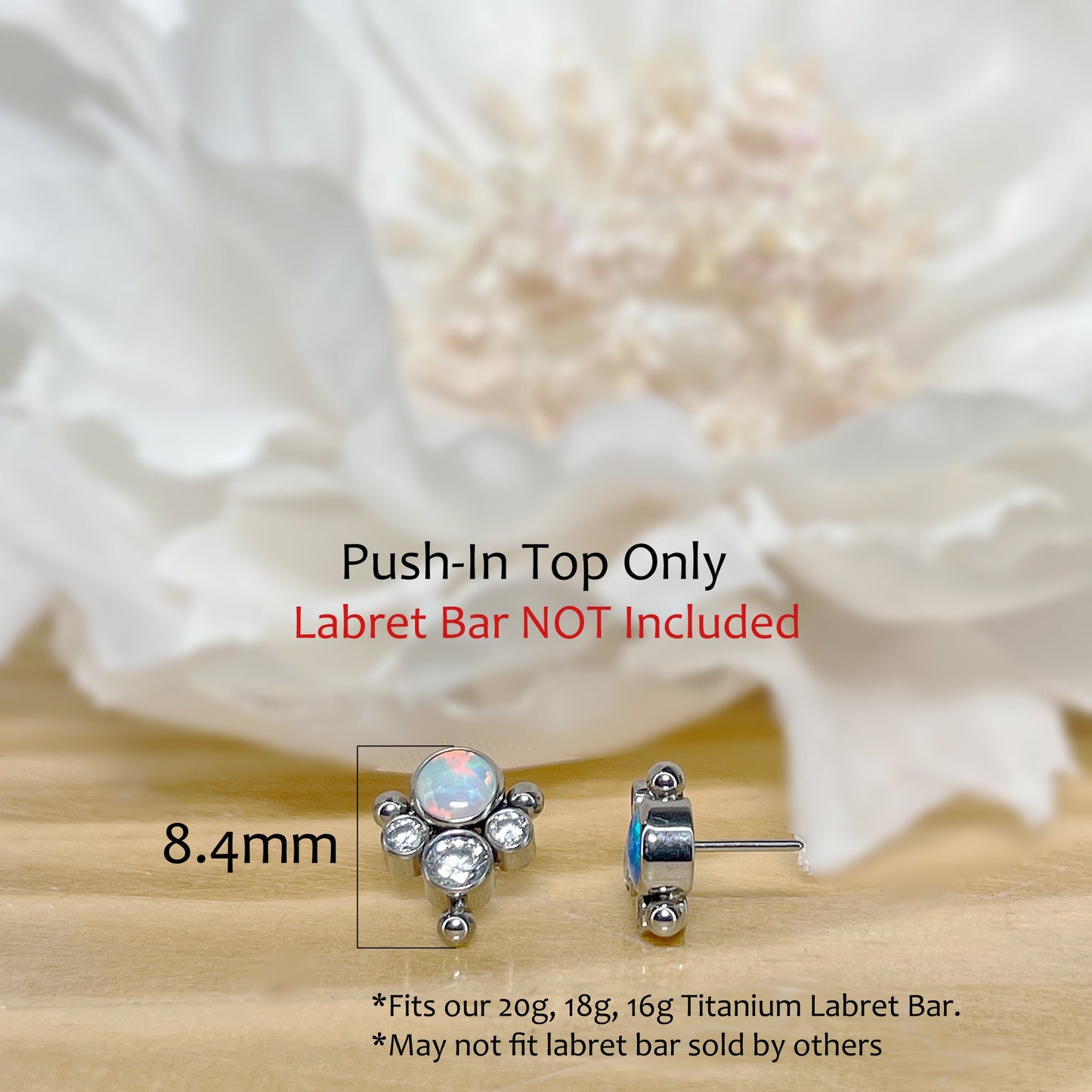 ✨ Titanium CZ Threadless Top