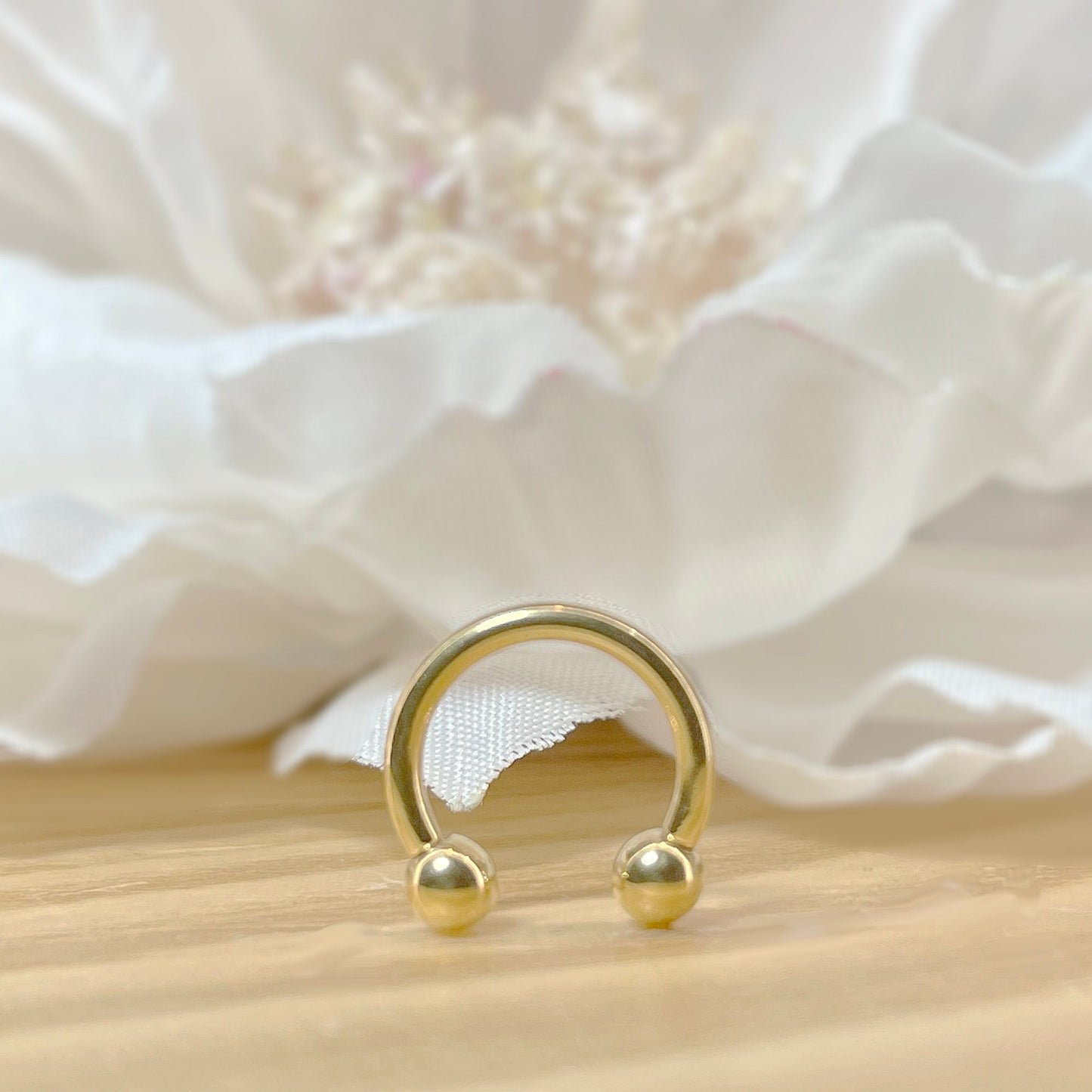 ✨ Titanium Horseshoe Circular Barbells 16G 8mm