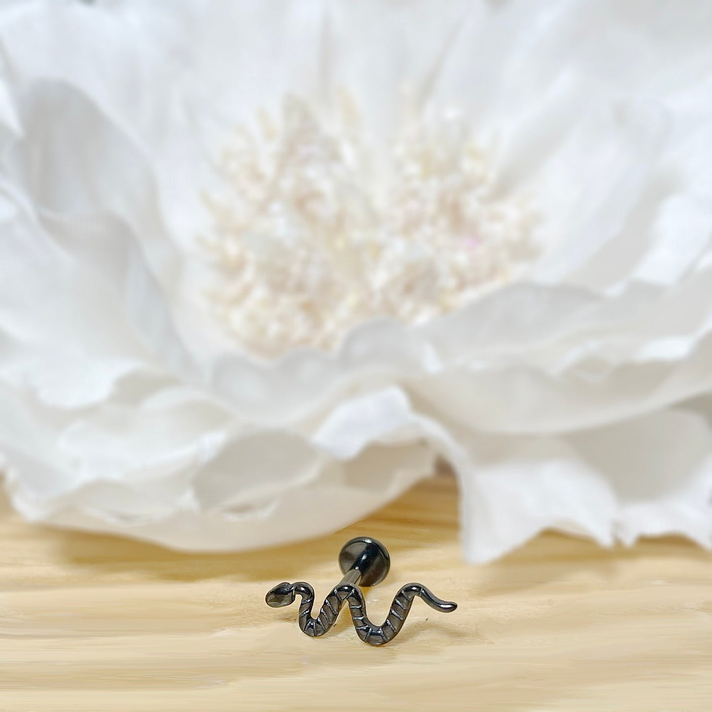 ✨ Titanium Snake Internally Threaded Labret Bar 16G