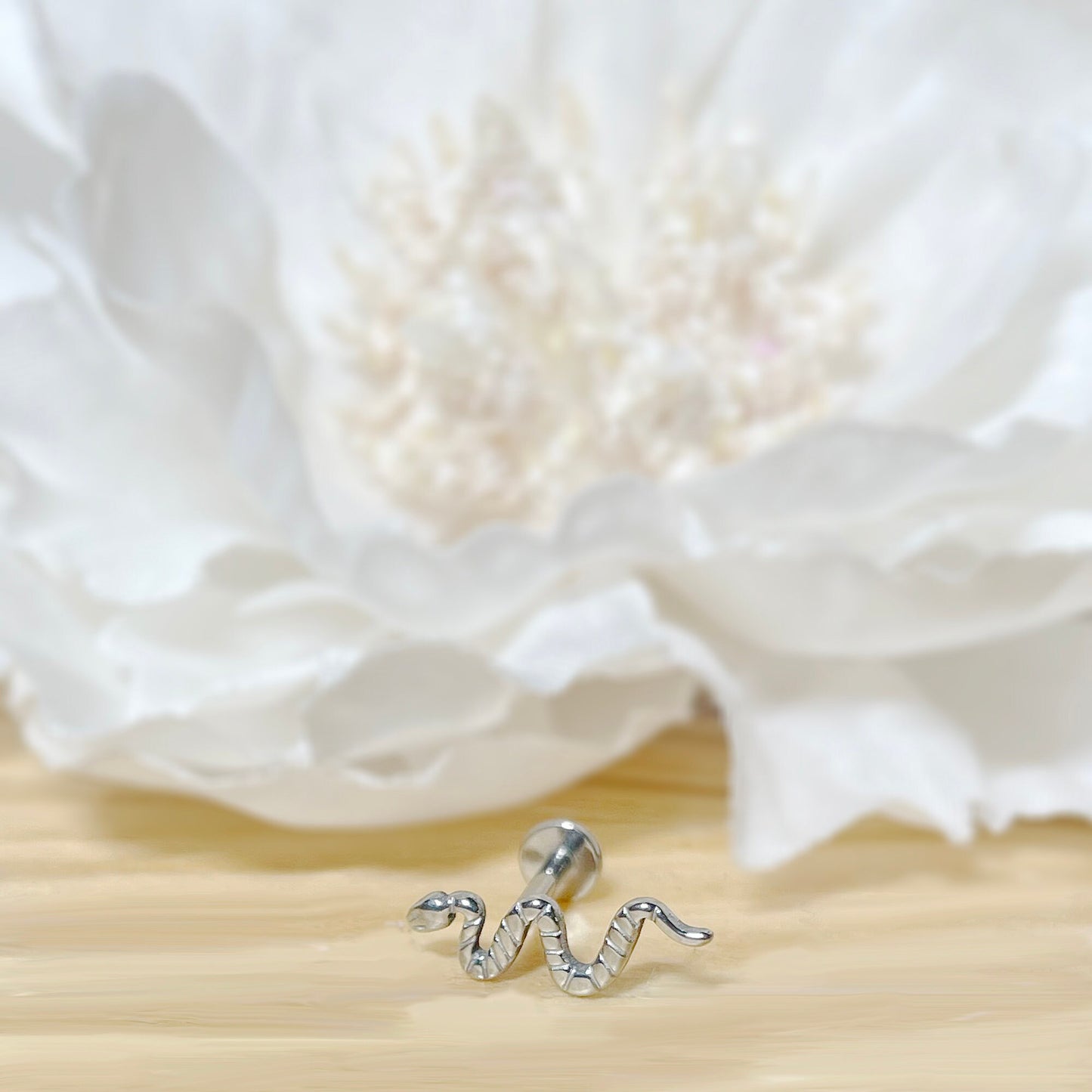 ✨ Titanium Snake Internally Threaded Labret Bar 16G