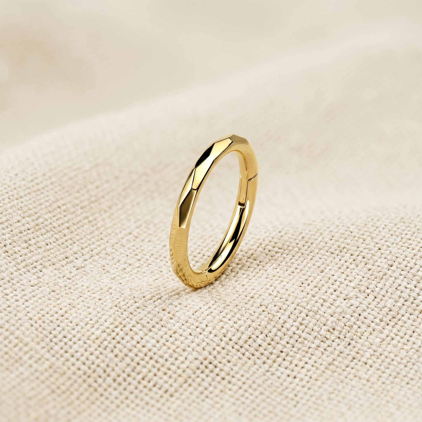 Titanium Faceted Side Hinged Clicker Hoop 16G
