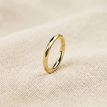 Titanium Faceted Side Hinged Clicker Hoop 16G