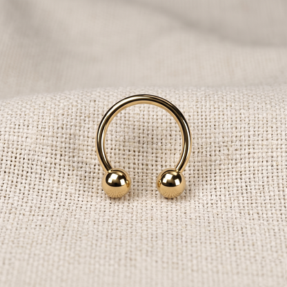 Titanium Horseshoe Circular Barbell