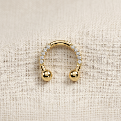 Titanium CZ Horseshoe Circular Barbell
