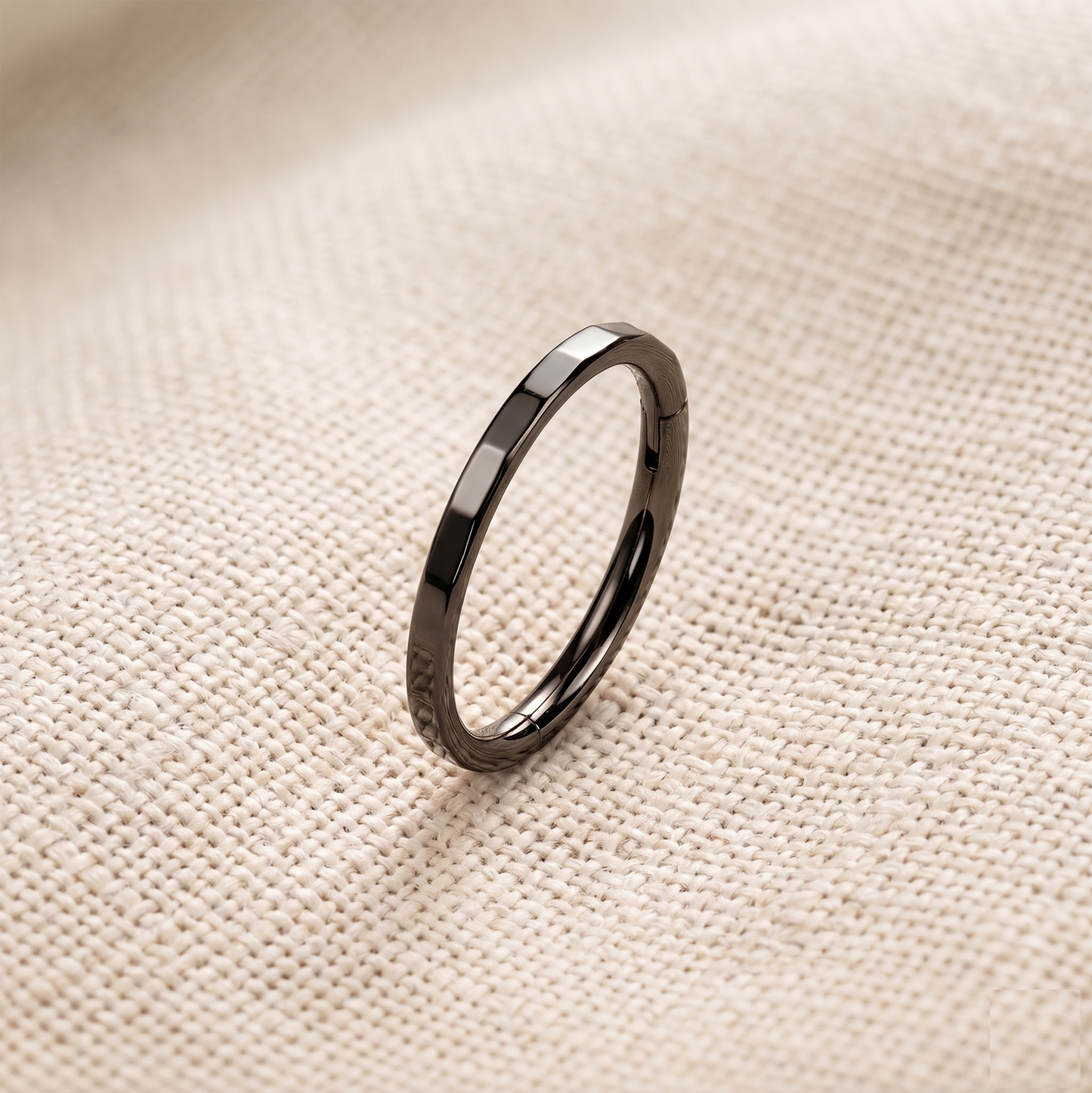 Titanium Faceted Hinged Clicker Hoop