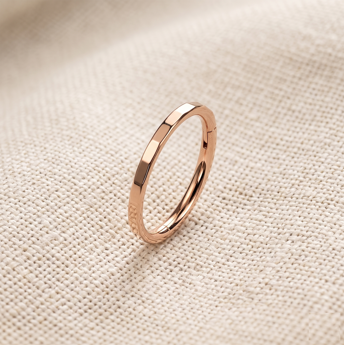 Titanium Faceted Hinged Clicker Hoop
