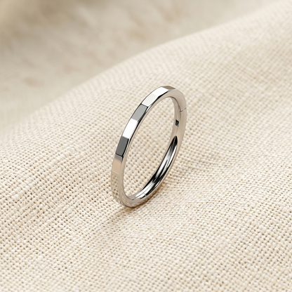 Titanium Faceted Hinged Clicker Hoop