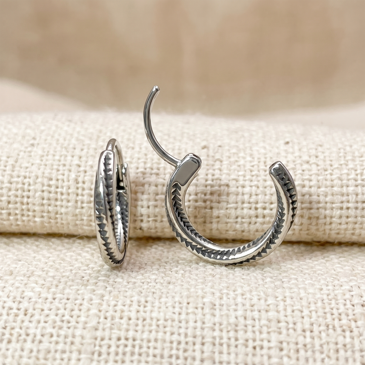 Surgical Steel Twist Hoop Earrings 20G