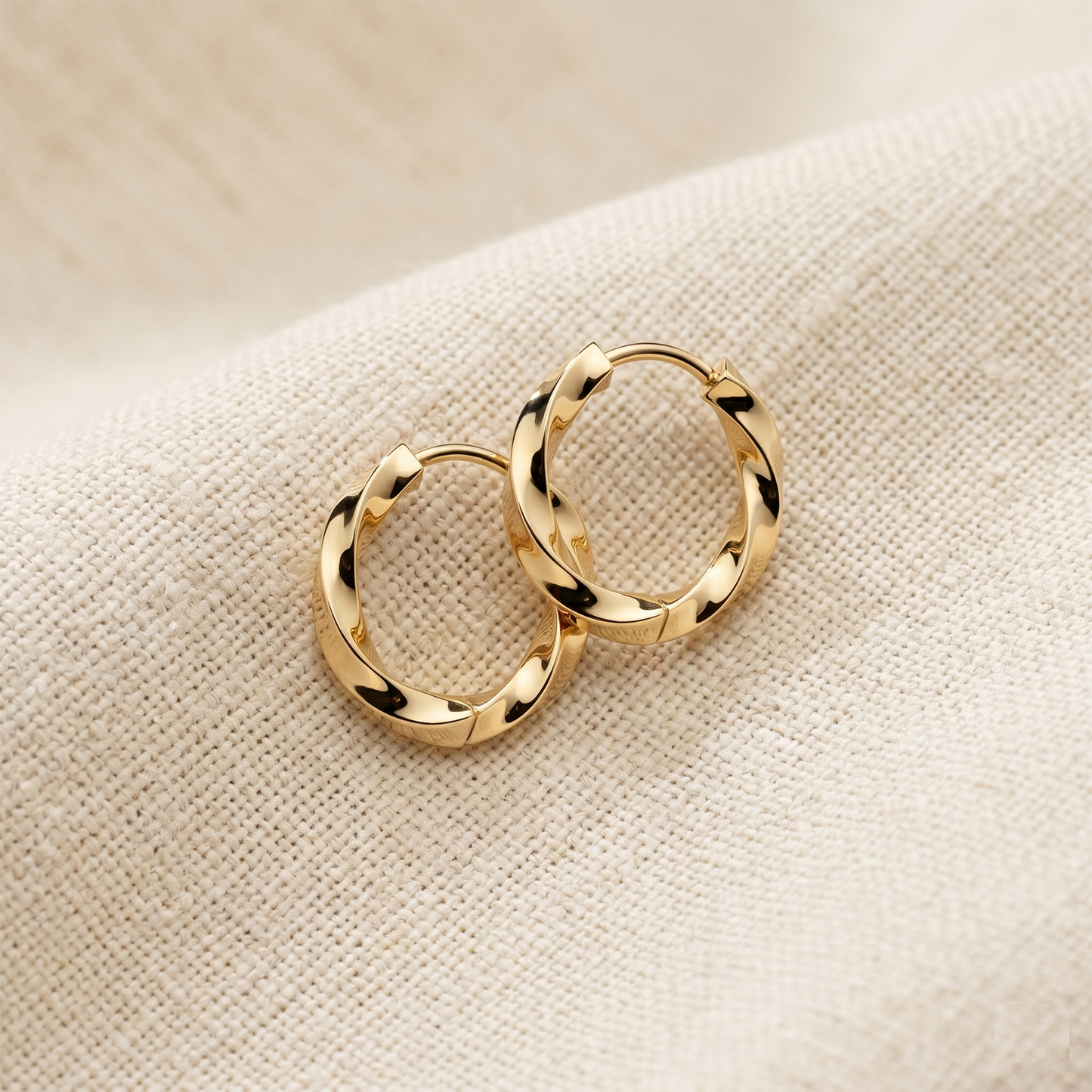 Surgical Steel Twisted Hinged Hoop Earrings 18G