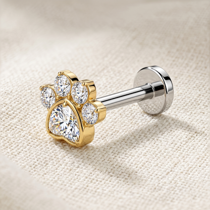 Titanium Threadless CZ Paw Top Stud