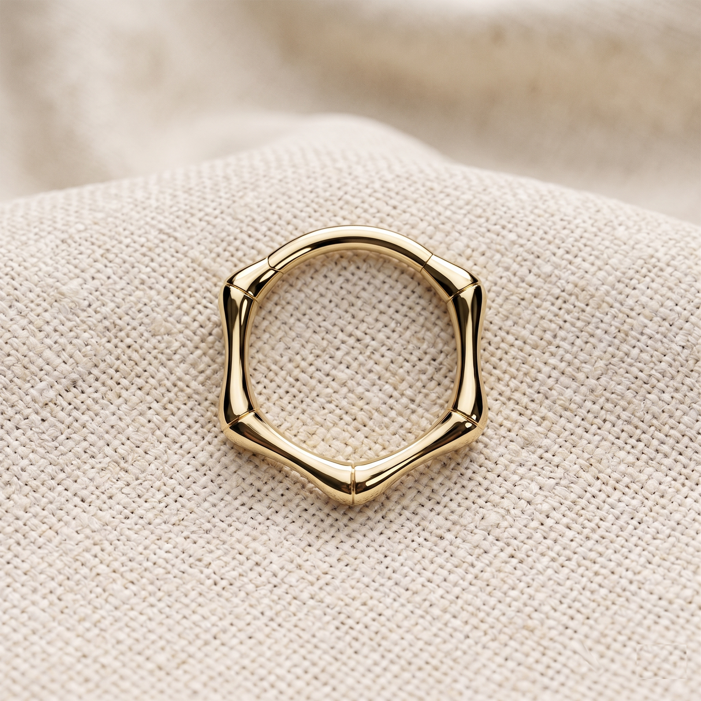 Titanium Hinged Joint Hoop Ring 16G