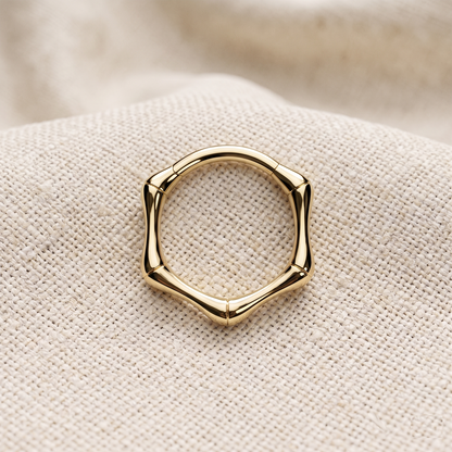 Titanium Hinged Joint Hoop Ring 16G