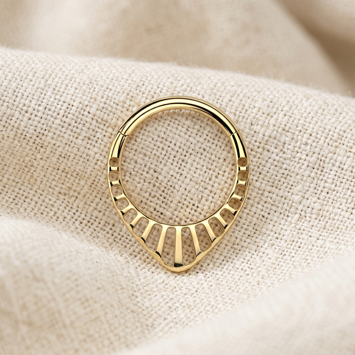 Titanium Hinged Hoop Ring 16G