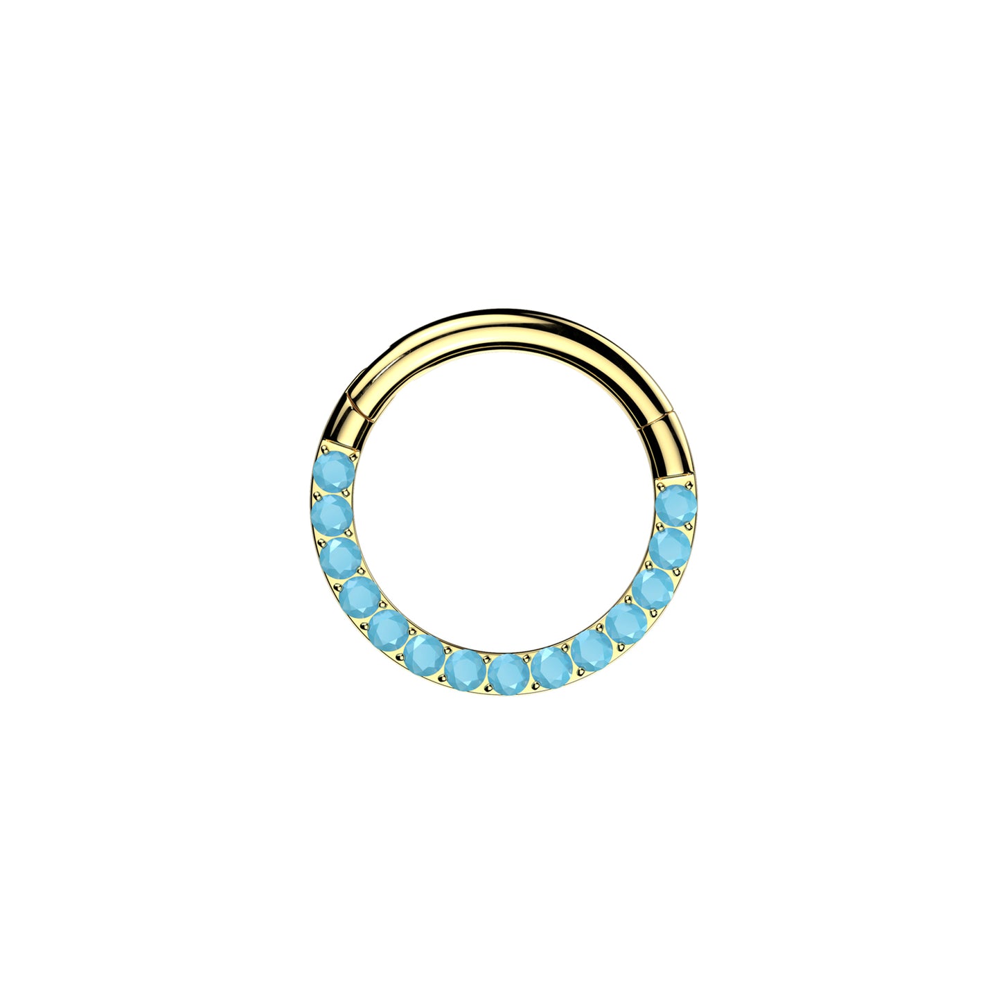 ✨ 16G Titanium Hinged Segment Hoop Ring with Turquoise Front