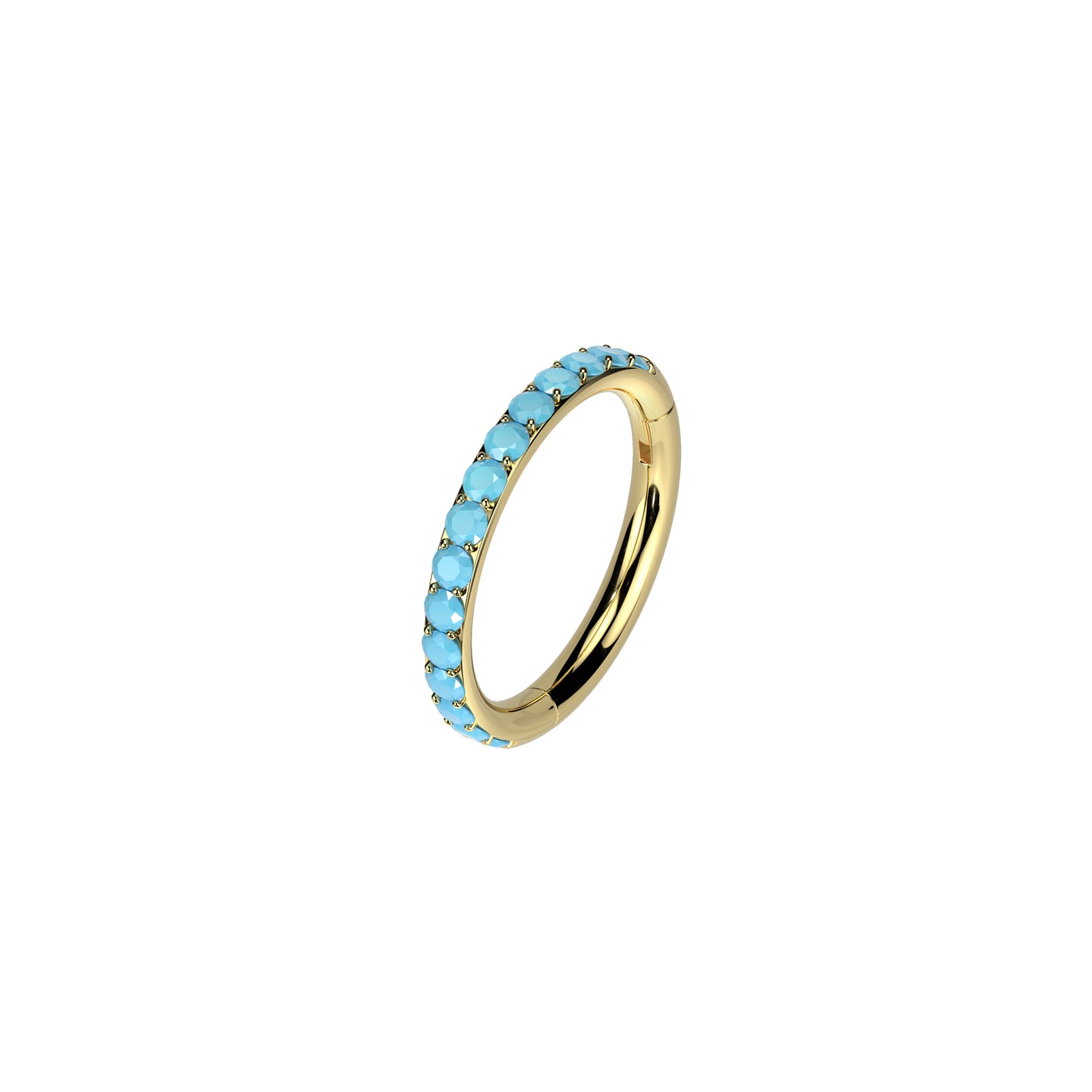 ✨ 16G Titanium Hinged Segment Hoop Ring with Turquoise