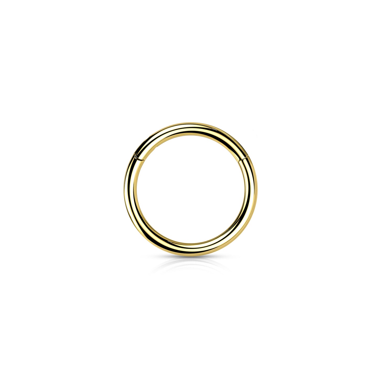 ✨ Gold Surgical Steel Hinged Segment Clicker Hoop