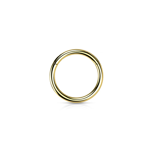 ✨ Gold Surgical Steel Hinged Segment Clicker Hoop