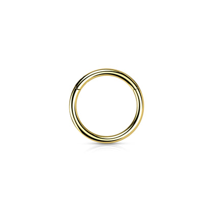 ✨ 20G Titanium Plain Hinged Hoop Clicker Ring