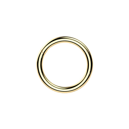 24K gold titanium hinged segment hoop ring for septum and daith
