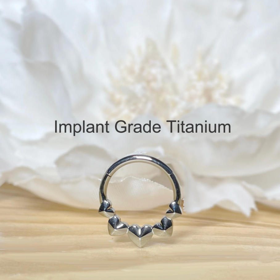 ✨ Titanium 16G Heart Facing Hinged Segment Hoop